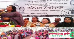 মিসেস নার্গিস