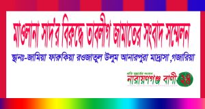 মাওলানা সাদ