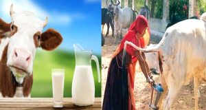 কলকাতা