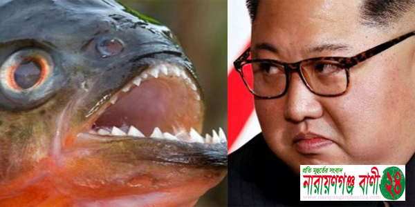 প্রেসিডেন্ট কিম