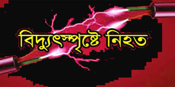 বিদ্যুৎস্পৃষ্ট