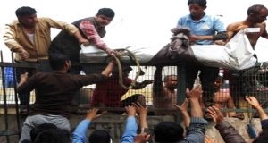 নাগরিকত্ব সংশোধনী