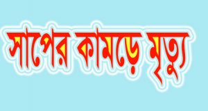 সাপের কামড়ে